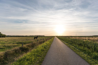 Road amidst agricultural field against sky during sunset