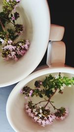 High angle view of purple flowers in bowl on table