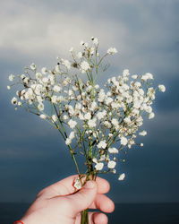 Close-up of cropped hand holding flower against sky