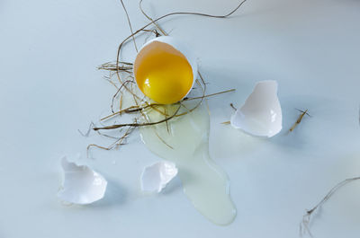 White egg is broken, the shell is on the table. light background