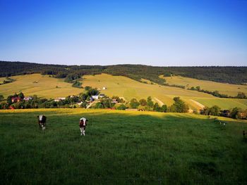 Scenic view of agricultural field against sky