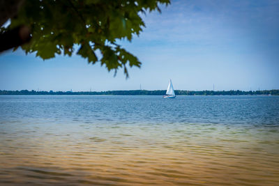 Sailboat sailing on sea against sky