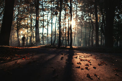 Man cycling on road amidst trees in forest