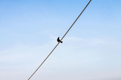 Low angle view of cables against sky