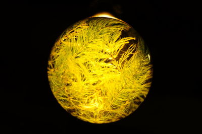 Close-up of illuminated lighting equipment against black background