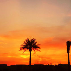 Silhouette palm tree against romantic sky at sunset