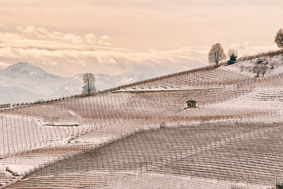 Scenic view of snow covered field against sky