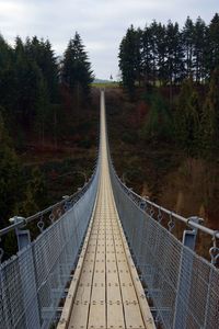 Footbridge over trees in forest against sky