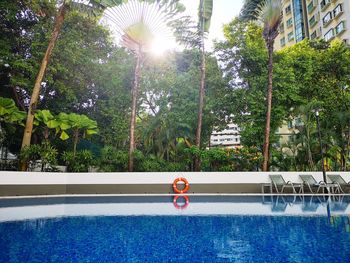 View of swimming pool against trees