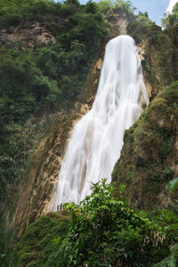 View of waterfall in forest