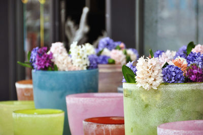 Flowers in containers for sale at shop