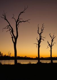 Silhouette bare tree by lake against sky during sunset