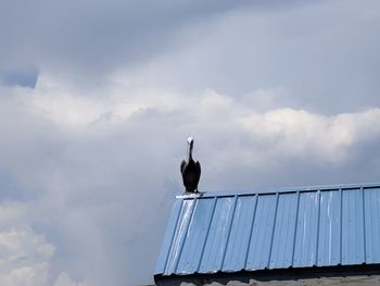 Low angle view of seagull perching on roof against sky