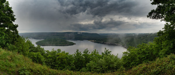 Scenic view of trees against sky