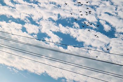 Low angle view of birds perching on power line against cloudy sky