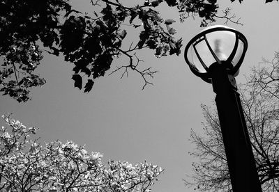 Low angle view of basketball hoop against sky