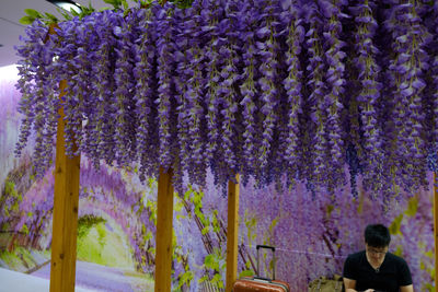 Purple flowering plants by trees