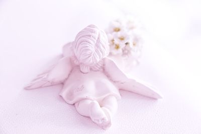 Close-up of pink flower on white background