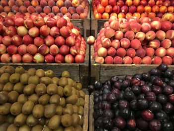 High angle view of fruits for sale in market