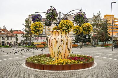 View of flowering plant against building