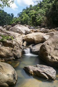 Scenic view of waterfall in forest