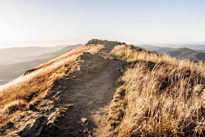 Scenic view of landscape against clear sky