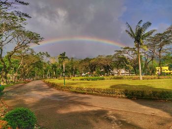 Panoramic view of trees against sky