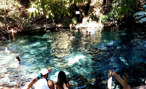 Low section of people swimming in water