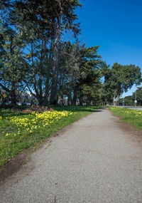 Empty road amidst trees on field against clear sky