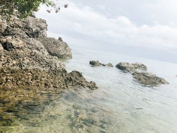 Scenic view of rocks on beach against sky