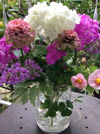 Close-up of pink flowers blooming outdoors