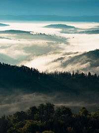 Autumn misty landscape. early fall forest with orange sunrise sun. nature background and weather