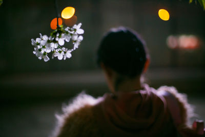 Rear view of man on flowering plant at night