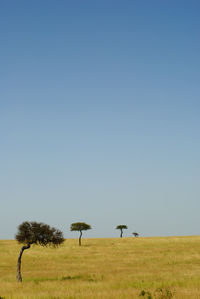 Trees and grass on landscape against clear sky