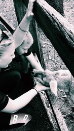 Low section of woman holding umbrella on wood