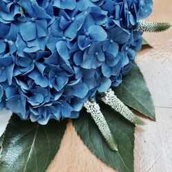 High angle view of blue hydrangea