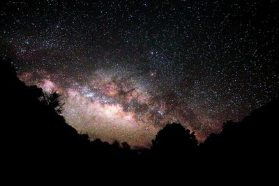 Low angle view of star field against sky at night