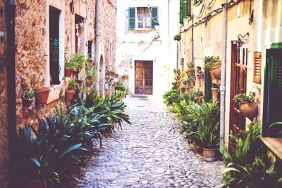 Narrow alley along buildings