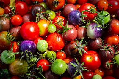 Various colorful organic cherry tomatoes, top view