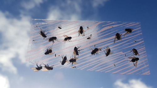 Low angle view of people skiing