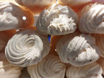 Full frame shot of seashells