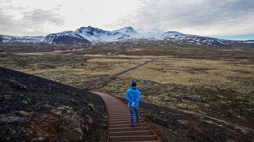 Rear view of man walking on staircase