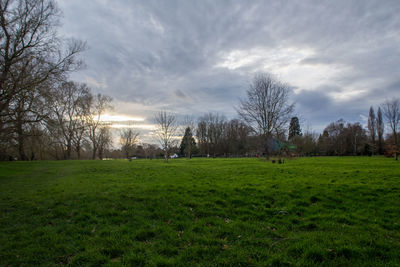 Scenic view of grassy field against sky