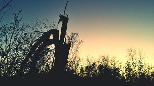 Low angle view of silhouette bare trees against clear sky