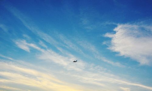 Low angle view of airplane flying in sky