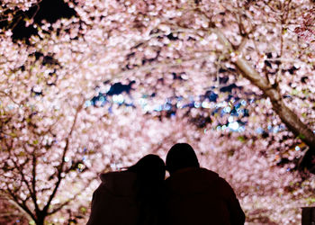 Rear view of couple against flowering trees at night