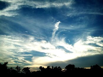 Low angle view of silhouette trees against sky