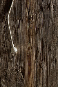 Full frame shot of tree trunk against wall