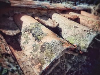 Close-up of rusty metal