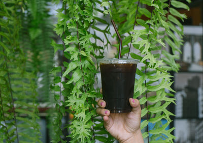 Person holding glass of plant